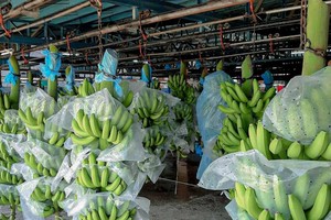 Dự án áp dụng nhiều kĩ thuật tiên tiến và giải pháp bền vững, thân thiện với môi trường