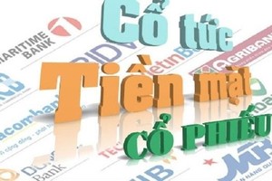 Cổ đông nhiều ngân hàng sắp được nhận cổ tức bằng cổ phiếu