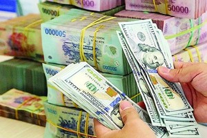 Lãi suất liên ngân hàng giảm sâu, tỷ giá tăng dù Ngân hàng Nhà nước hút ròng 115.000 tỷ đồng