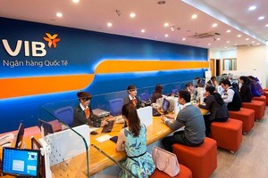 ĐHCĐ VIB sẽ trình kế hoạch chia cổ tức 35% trong 2022, tăng vốn lên trên 21.000 tỷ đồng