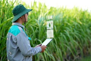 TTC AgriS (SBT) đặt mục tiêu lợi nhuận tăng 18% niên độ 2023 - 2024, dự kiến phát hành 37 triệu cổ phiếu ESOP