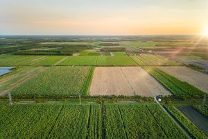 TTC AgriS tiên phong chuyển đổi mô hình kinh doanh, trở thành doanh nghiệp nông nghiệp công nghệ cao, tham gia sâu rộng vào chuỗi giá trị nông nghiệp toàn cầu