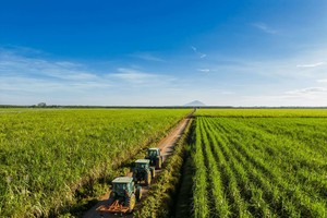 TTC AgriS hoàn thành hơn 83% kế hoạch doanh thu, lợi nhuận năm sau 3 quý, sản lượng vượt mốc triệu tấn