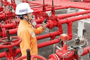 Năm 2025 đạt doanh thu gần 11.453 tỷ đồng, PV GAS D (PGD) lên kế hoạch tăng trưởng 10% trong năm 2026