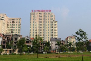 Dự án do NTL triển khai
