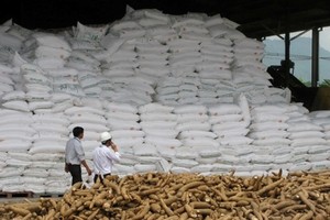 Thành Vũ Tây Ninh là một trong những doanh nghiệp hàng đầu trong lĩnh vực chế biến tinh bột sắn (ảnh minh họa)