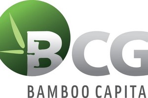 BCG tổ chức đối thoại với nhà đầu tư 