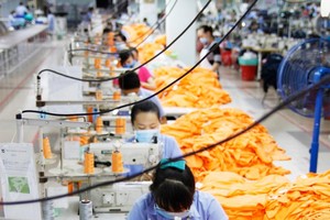 5 tháng, TCM lãi 102,15 tỷ đồng