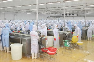 Minh Phú (MPC) sẽ niêm yết trên HOSE vào năm 2019