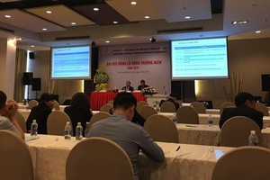 Fideco (FDC) sẽ mở bán dự án Cần Giờ trong năm nay, dự kiến chia cổ tức 50% tiền mặt