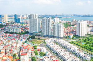 Ricons lợi nhuận đạt 103 tỷ đồng trong quý III/2019