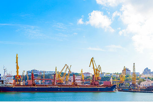 VRC đã được cấp Giấy chứng nhận quyền sử dụng đất 50 ha Cảng Mỹ Xuân