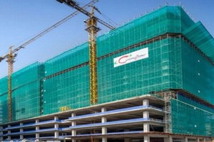 Luật sư nói gì về yêu cầu triệu tập đại hội bất thường của Kusto, đòi ban lãnh đạo Coteccons từ chức?