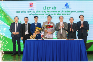 Sơn Đại Việt (DVG) hợp tác đầu tư 10.000 ha cây Hông với TCTC