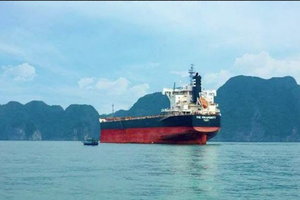 Hòa Phát mua thêm tàu The Prosperity tải trọng hơn 80.000 tấn