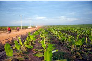 ĐHCĐ HAGL Agrico (HNG) thông qua chủ trương đầu tư dự án 18.090 tỷ đồng 