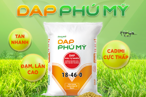 PVFCCo - Phú Mỹ (DPM) ra mắt DAP Phú Mỹ