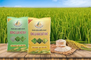 Phân bón Miền Nam (SFG) dự kiến chia cổ tức tiền mặt 5%