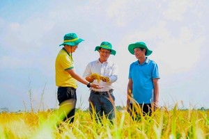 Phân bón Dầu khí Cà Mau (DCM) đặt kế hoạch lợi nhuận sau thuế 1.200 tỷ đồng, cổ tức 10% trong 2026