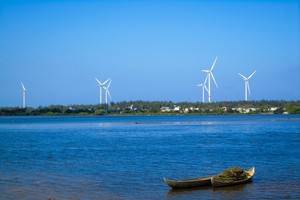 Halcom Việt Nam (HID) giải trình lý do cổ phiếu bị đưa vào diện cảnh báo