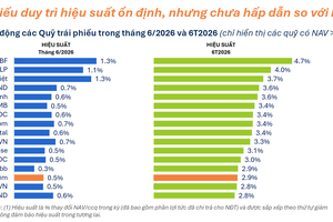Quỹ đầu tư cổ phiếu bị ảnh hưởng thị trường giảm giá, quỹ trái phiếu duy trì mức lợi nhuận ổn định