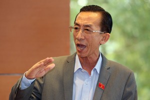 TS Trần Hoàng Ngân, Ủy viên Ủy ban Kinh tế của Quốc hội