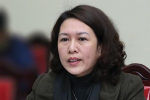 Bà Trần Thị Hồng Minh, Cục trưởng Cục Quản lý đăng ký kinh doanh (Bộ Kế hoạch và Đầu tư)