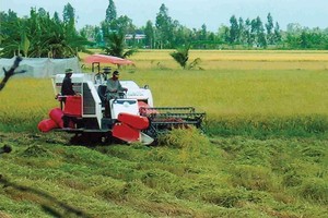 Một nền nông nghiệp phát triển sẽ kéo theo nhiều ngành công nghiệp phát triển