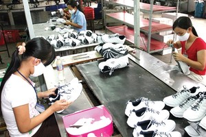 Doanh nghiệp rất mong chờ sự cải thiện môi trường kinh doanh