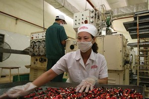 Công ty cổ phần Tràng An là một trong 4 công ty con của Công ty TNHH một thành viên Đầu tư Việt Hà. Ảnh: Đức Thanh