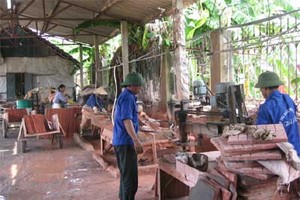 Nguồn vốn ngân sách nhà nước có hạn trong khi nhu cầu hỗ trợ từ các chương trình như xây dựng mô hình HTX kiểu mới quá nhiều