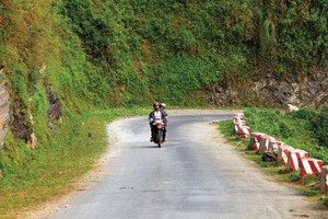 Dự án có tổng mức đầu tư 408,93 triệu USD sẽ nâng cấp, cải tạo 676 km đường tại 14 tỉnh, 2.174 cầu tại 50 tỉnh trong thời gian từ 2016-2021