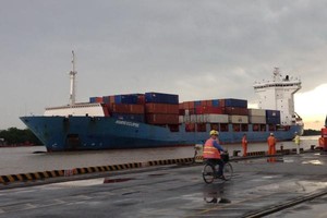Các doanh nghiệp đang "ngóng" Nghị định quy định về phụ phí dịch vụ vận tải biển. Ảnh: H.Dịu