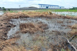 Chỉ có khoảng 66% trong số 289 khu công nghiệp trên cả nước có trạm xử lý nước thải tập trung