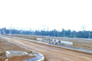 Đà Nẵng sẽ rà soát, cắt giảm 100% dự án không nằm trong quy hoạch và tạm dừng các hạng mục chưa hiệu quả. Ảnh VGP/Mai Vy