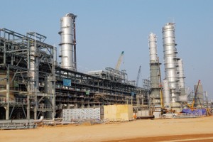 LM8: Chi trả cổ tức 18% năm 2015, tăng vốn điều lệ lên 350 tỷ đồng sau 5 năm