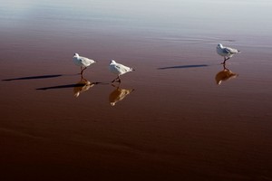 Sự kiện chứng khoán đáng chú ý ngày 29/4