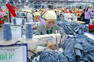 Ảnh minh họa. (Nguồn: TTXVN)