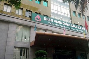 Hiện nguồn vốn cấp cho Ngân hàng Chính sách Xã hội sẽ lấy từ đâu.
(Ảnh minh họa: Internet)