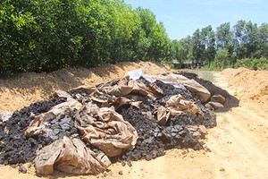 Khu vực rừng tràm nơi phát hiện 100 tấn chất thải tự chôn lấp của Formosa. Ảnh: Đ.H