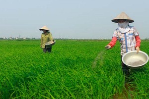 LAS dự kiến phát hành 35 triệu cổ phiếu thưởng