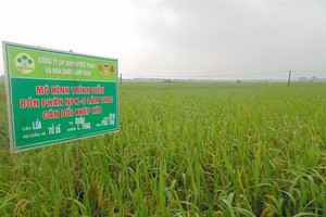 LAS: 6 tháng hoàn thành 14% kế hoạch lợi nhuận cả năm