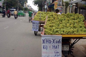 Nho Trung Quốc bán đầy đường Sài Gòn với giá 60.000 đồng một kg. Ảnh: Hồng Châu