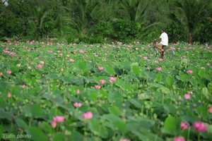 3 gợi ý 'đi trốn' giữa thiên nhiên ngay gần Sài Gòn