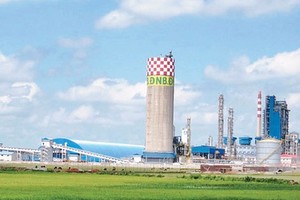 Bộ Công Thương có kế hoạch thanh tra tại Vinachem và nhà máy Đạm Ninh Bình.