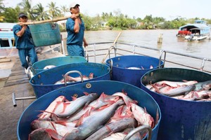 Rất nhiều quy hoạch ngành, sản phẩm đang được thực hiện, nhưng không phù hợp với thể chế của nền kinh tế thị trường. Ảnh: Lê Toàn