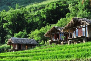 Những homestay có view cực đẹp tại Sa Pa