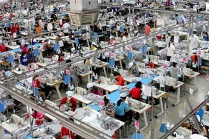 23 người Việt mới làm bằng một lao động Singapore