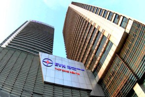 EVN không được nhận góp vốn từ doanh nghiệp "con, cháu"