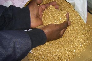 Sáng 3/3, vàng giảm gần 100.000 đồng lượng, giá USD tăng lên sát 22.900 đồng/USD